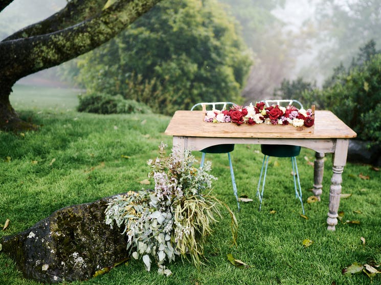 Mt Tomah Garden Kenny Express