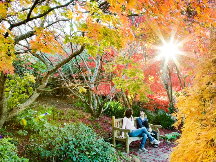 Mt Tomah Garden Kenny Express